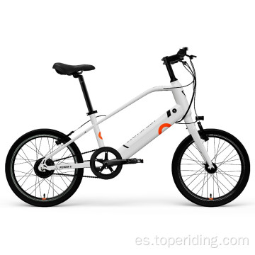 Bicicleta eléctrica personalizada de 20 pulgadas